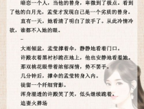 《失婚》作者:半截白菜,半截白菜笔下的婚姻困境与人生抉择