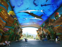 珠海海洋王国,梦幻海洋之旅，探索海底奇观